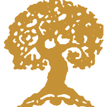ROA Credit — el árbol